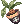6217